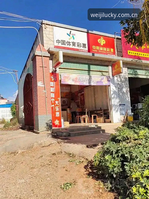 维基彩票体育整合平台深度分析：从官网入口到用户体验的全面解析